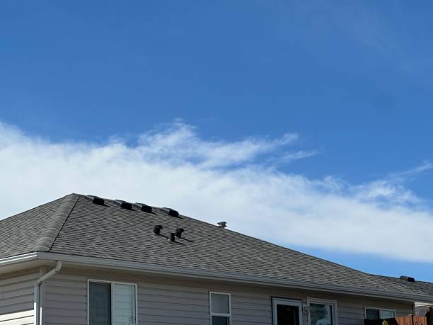 Best Chimney Flashing Repair  in Poynette, WI